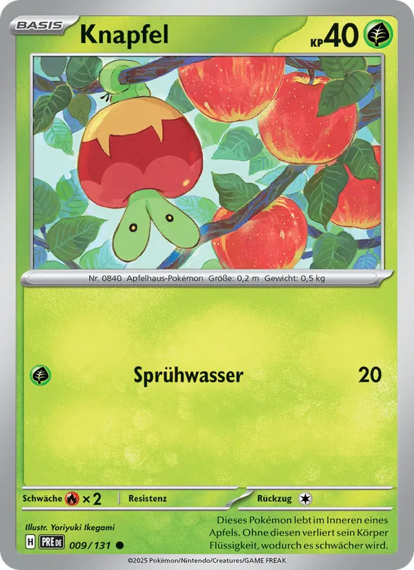 Karte Knapfel aus Prismatische Entwicklungen, Nummer 009/131