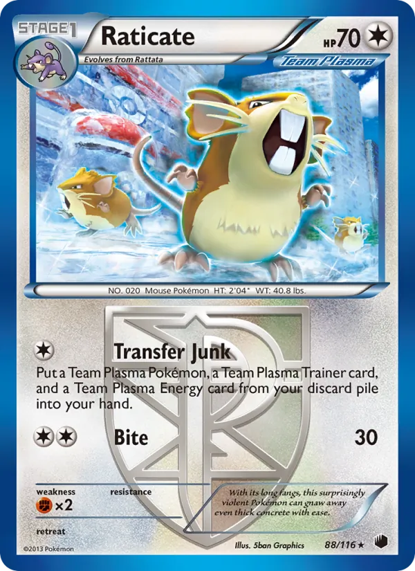 Raticate card from Plasma Freeze, number 88/116
