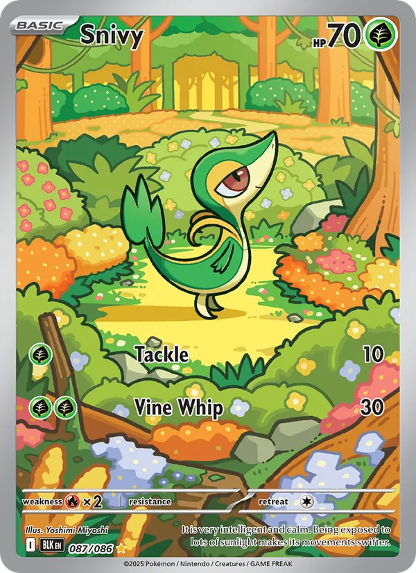 Snivy card from Black Bolt, number 087/86