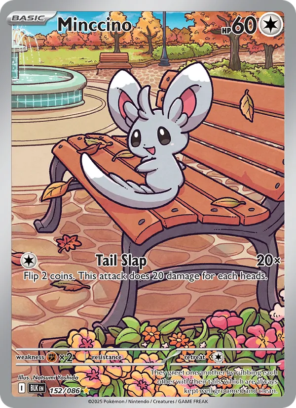 Minccino card from Black Bolt, number 152/86