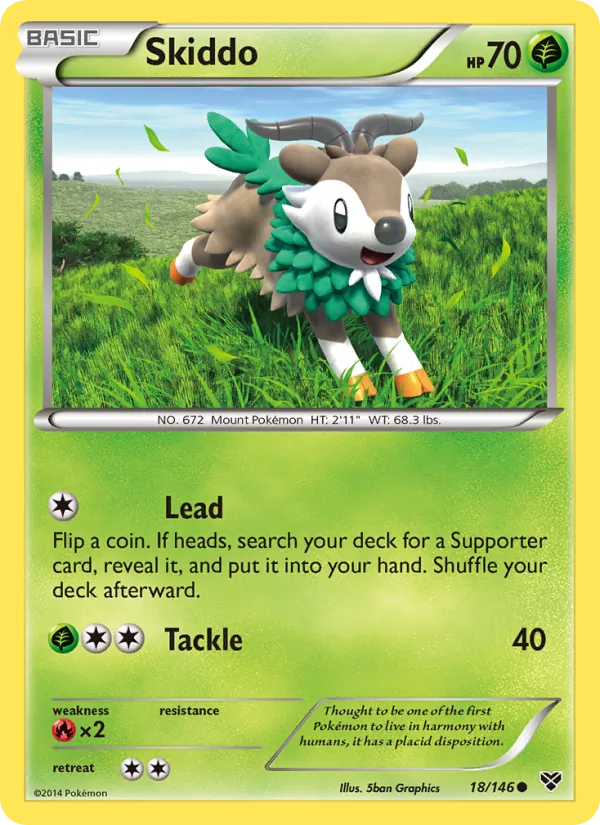 Kartu Skiddo dari XY, nomor 18/146