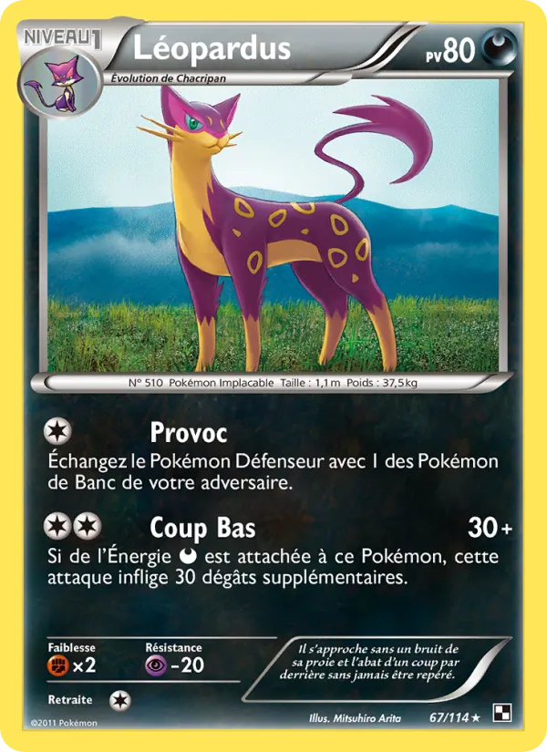 Carte Léopardus de l'extension Noir & Blanc, numéro 67/114