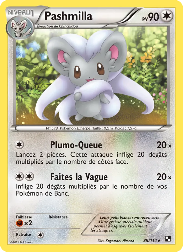 Carte Pashmilla de l'extension Noir & Blanc, numéro 89/114