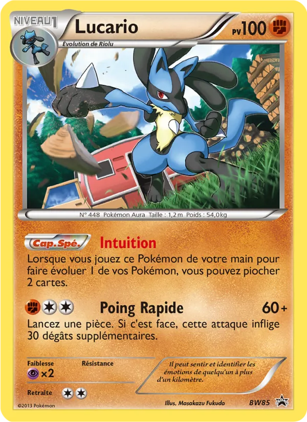 Carte Lucario de l'extension Promo BW, numéro BW85/101
