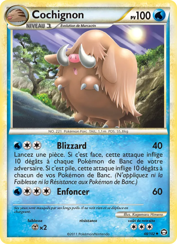 Carte Cochignon de l'extension Triomphant, numéro 48/102