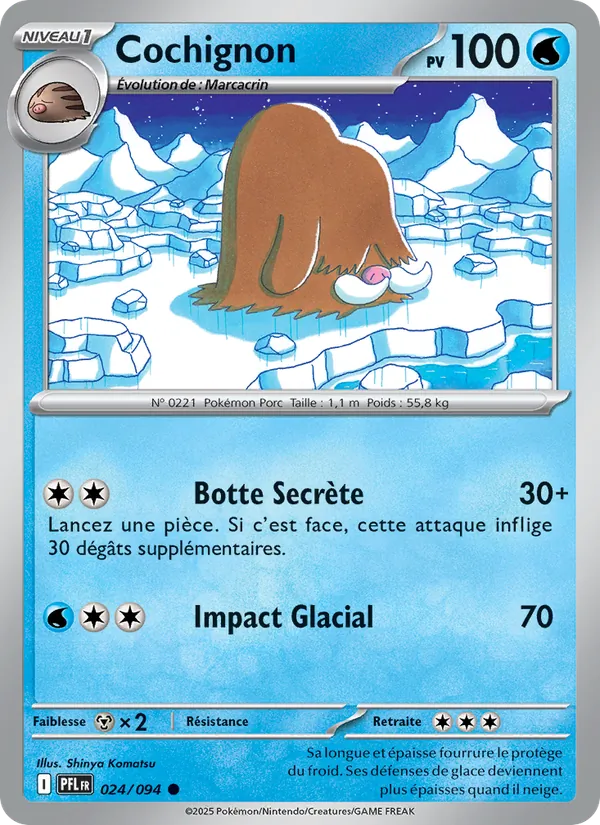 Carte Cochignon de l'extension Flammes Fantasmagoriques, numéro 024/94