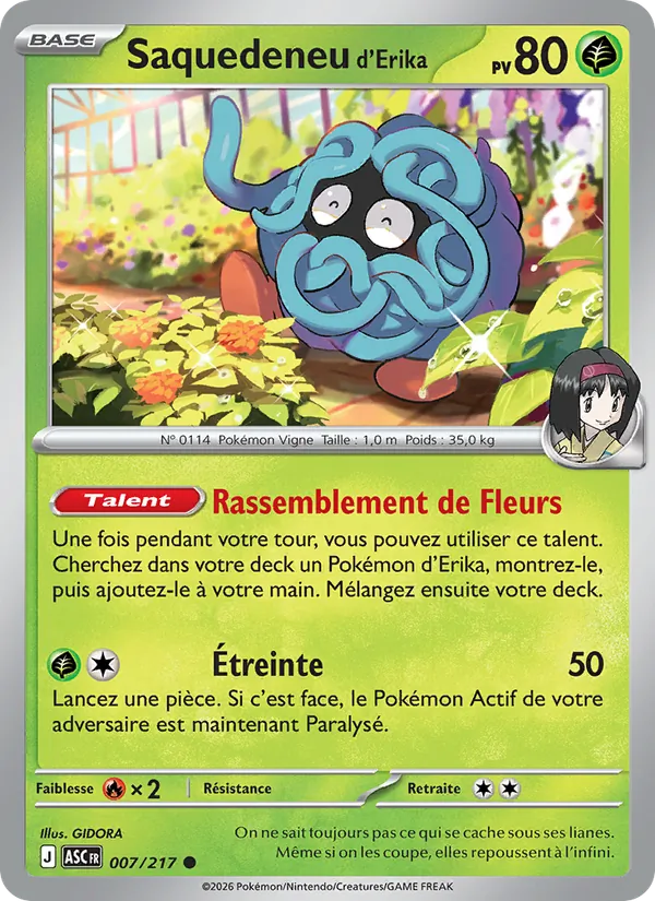 Carte Saquedeneu d'Erika de l'extension Héros Transcendants, numéro 007/217