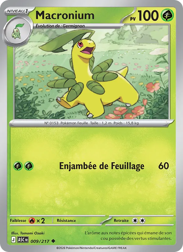 Carte Macronium de l'extension Héros Transcendants, numéro 009/217
