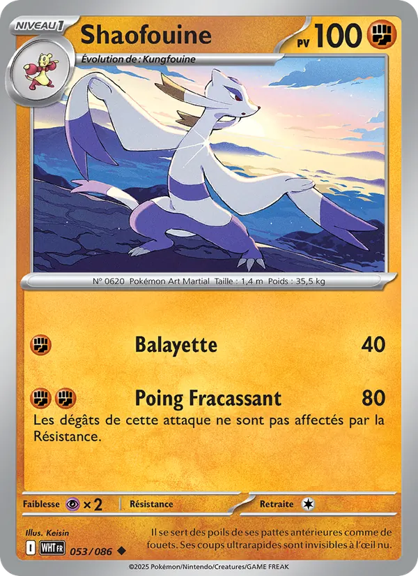 Carte Shaofouine de l'extension Flamme Blanche, numéro 053/86