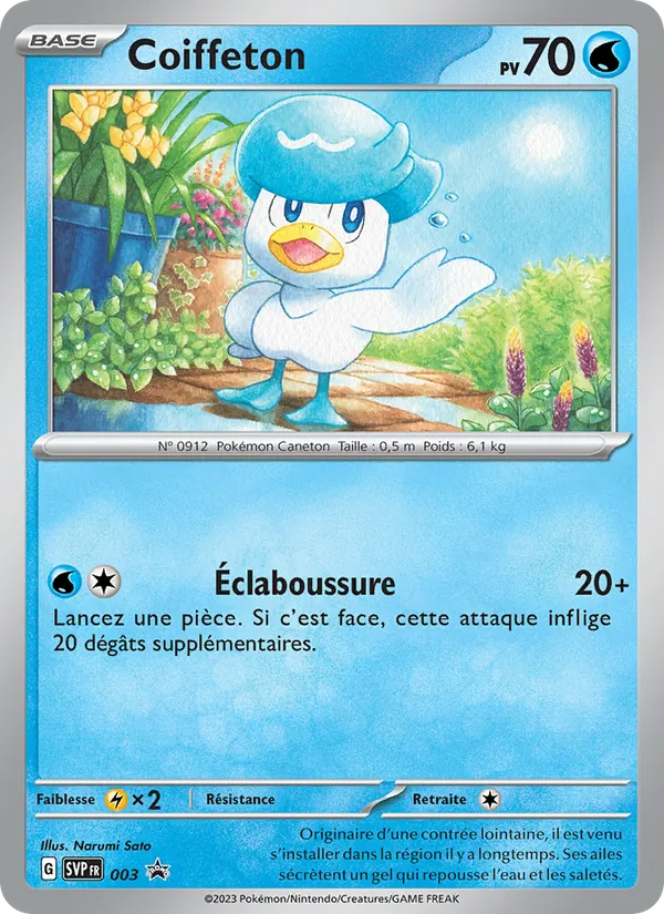 Carte Coiffeton de l'extension SVP Black Star Promos, numéro 003/225
