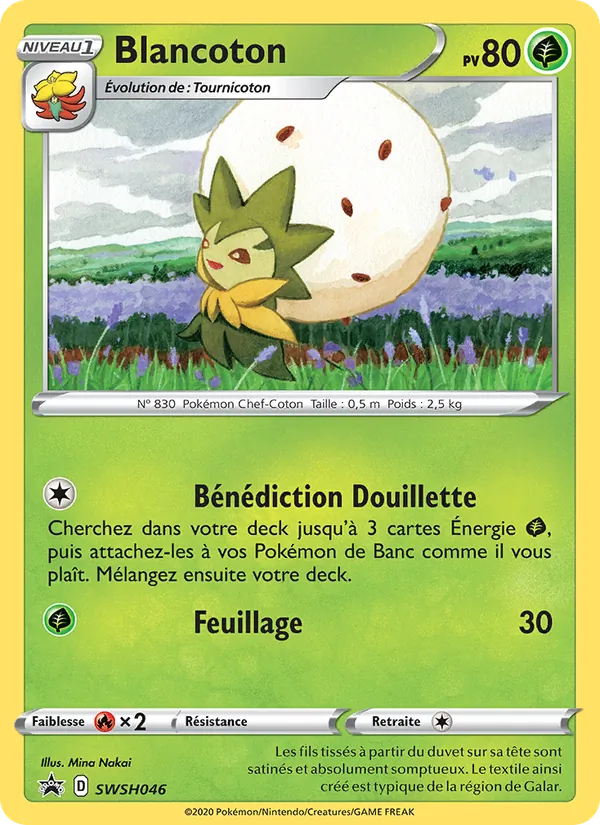 Carte Blancoton de l'extension Promo SWSH, numéro SWSH046/307
