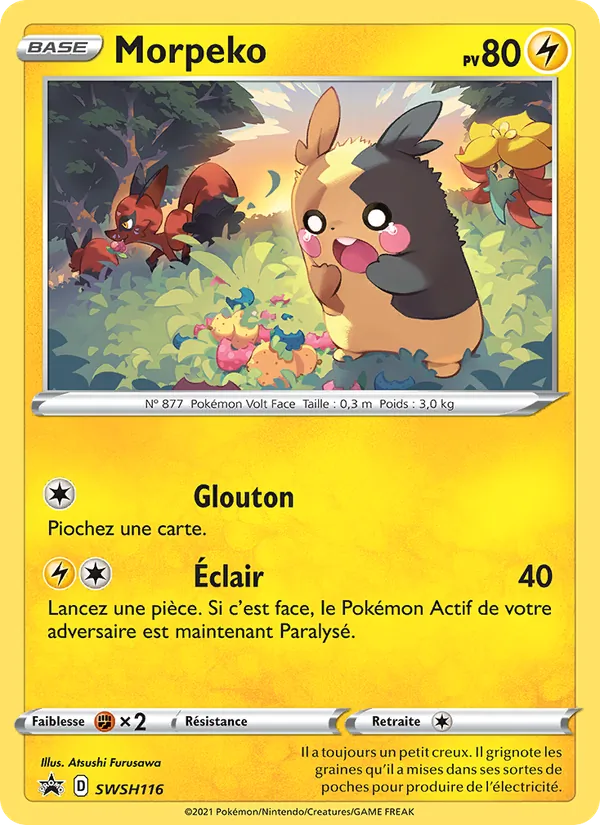Carte Morpeko de l'extension Promo SWSH, numéro SWSH116/307