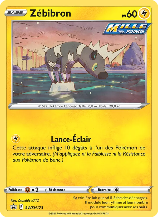 Carte Zébibron de l'extension Promo SWSH, numéro SWSH173/307