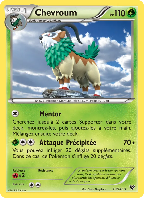 Carte Chevroum de l'extension XY, numéro 19/146