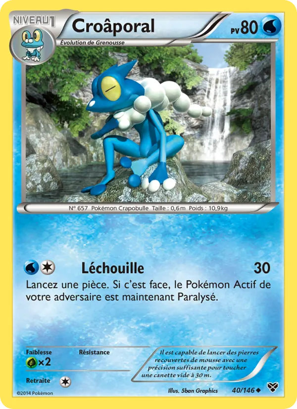 Carte Croâporal de l'extension XY, numéro 40/146