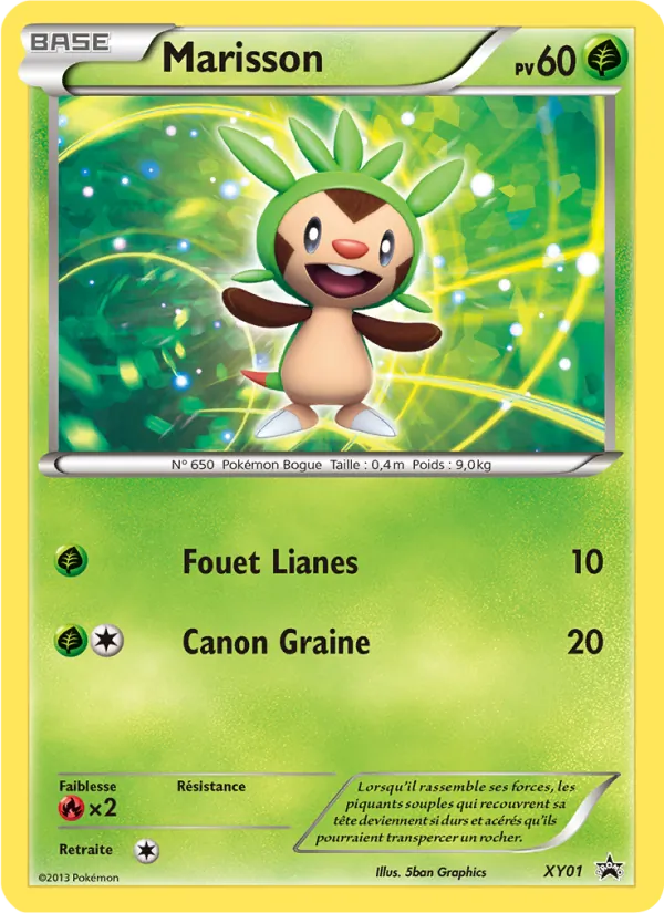 Carte Marisson de l'extension Promo XY, numéro XY01/211