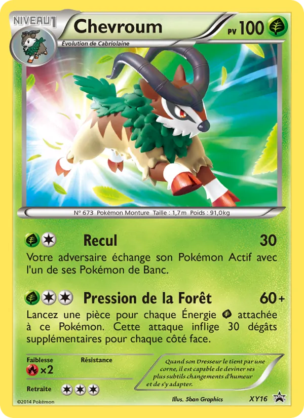 Carte Chevroum de l'extension Promo XY, numéro XY16/211