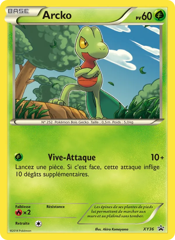 Carte Arcko de l'extension Promo XY, numéro XY36/211