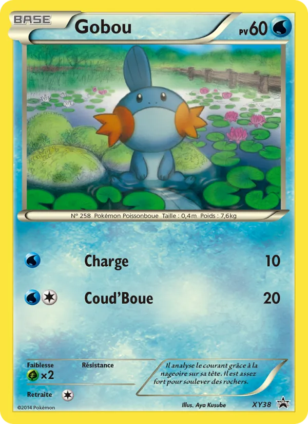 Carte Gobou de l'extension Promo XY, numéro XY38/211
