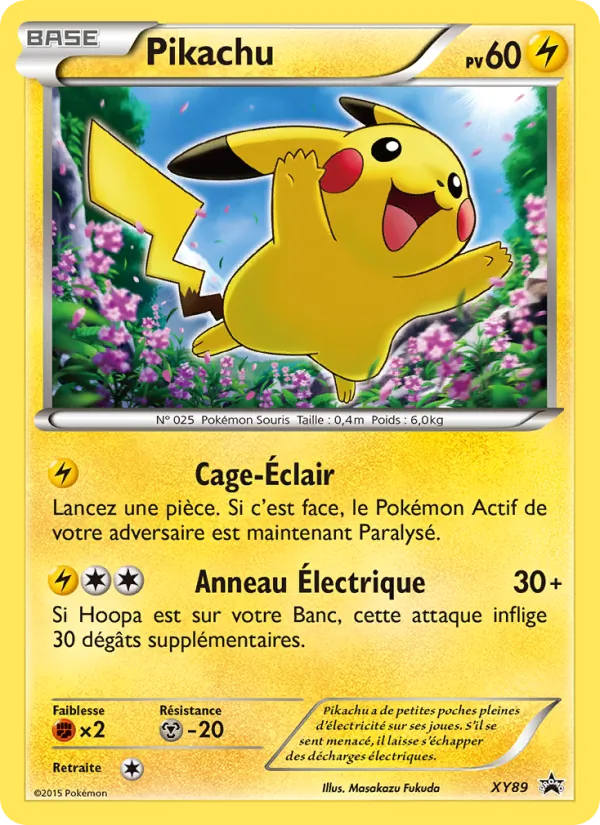 Carte Pikachu de l'extension Promo XY, numéro XY89/211