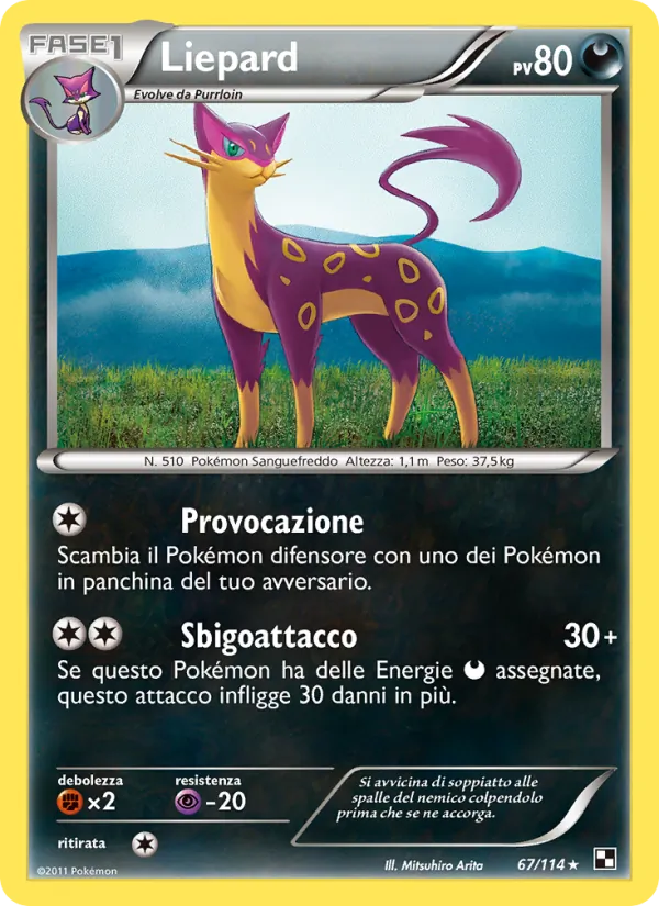 Carta Liepard dell'espansione Nero e Bianco, numero 67/114