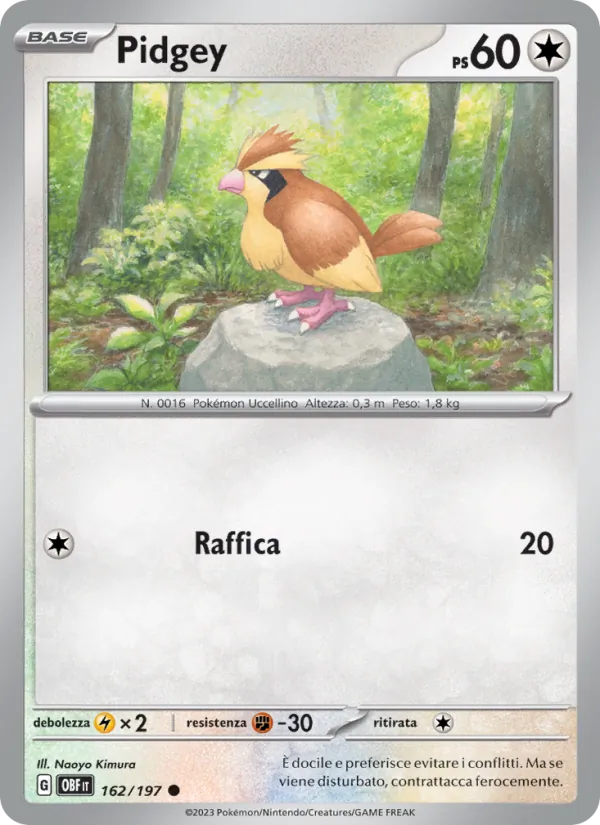 Carta Pidgey dell'espansione Ossidiana Infuocata, numero 162/197
