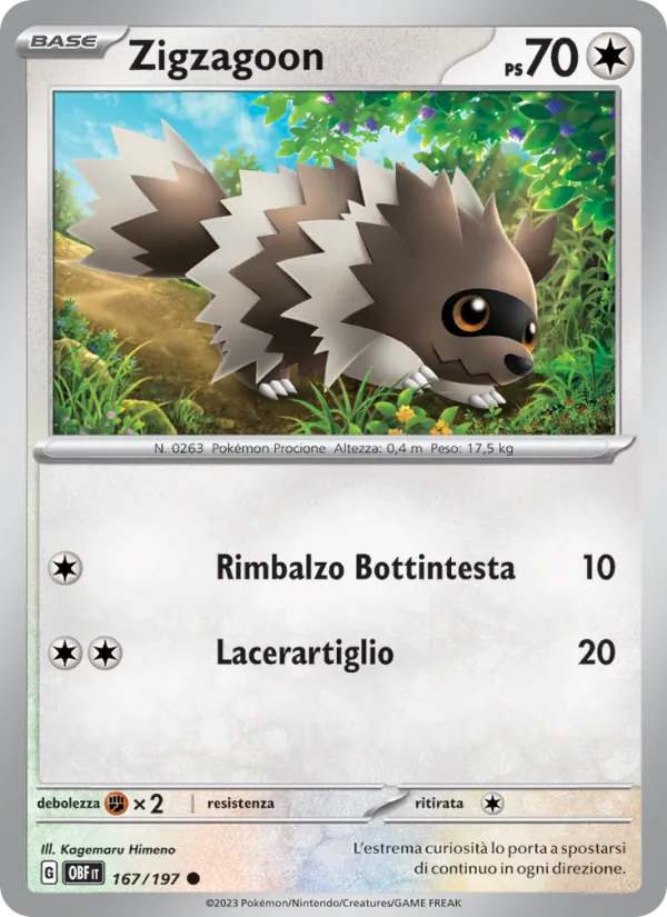 Carta Zigzagoon dell'espansione Ossidiana Infuocata, numero 167/197