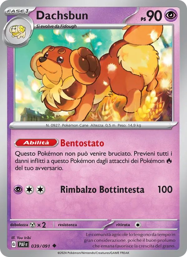 Carta Dachsbun dell'espansione Destino di Paldea, numero 039/91