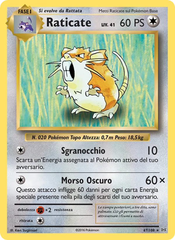 Carta Raticate dell'espansione Evoluzioni, numero 67/108