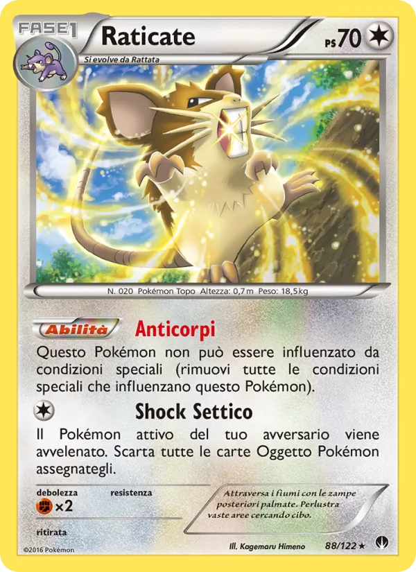 Carta Raticate dell'espansione Turbo Crash, numero 88/122