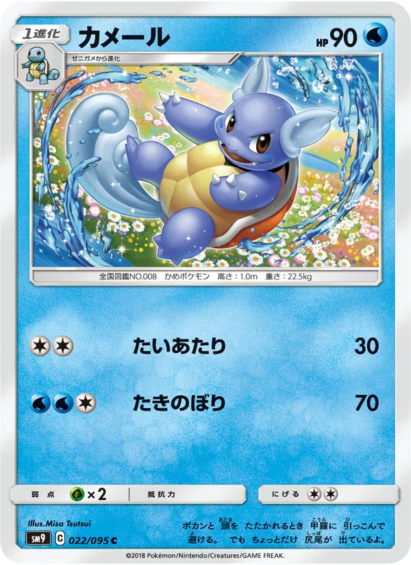 Kartu Wartortle dari Tag Bolt, nomor 022/95