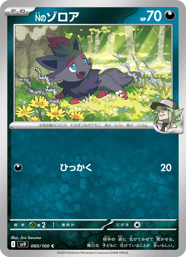 Kartu N's Zorua dari Battle Partners, nomor 060/100