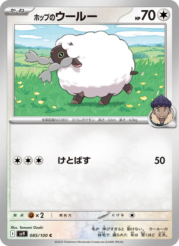 Carta Hop's Wooloo dell'espansione Battle Partners, numero 085/100
