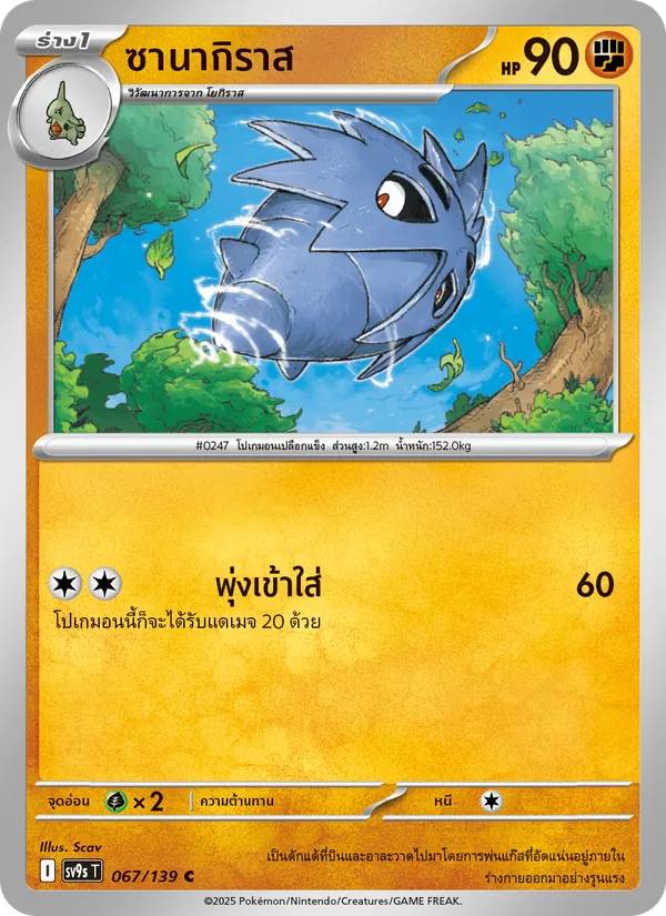 Karte ซานากิราส aus สายใยแห่งโชคชะตา, Nummer 067/139