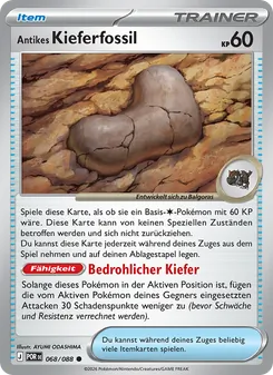 Karte Antikes Kieferfossil aus Optimale Ordnung, Nummer 068/88