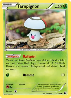 Karte Tarnpignon aus Dampfkessel, Nummer 12/114