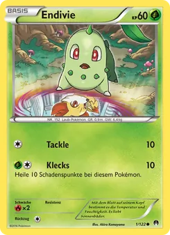 Karte Endivie aus TURBOfieber, Nummer 1/122