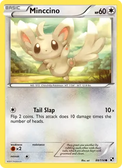 Minccino card from Black & White, number 88/114