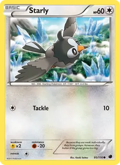 Starly card from Plasma Freeze, number 95/116
