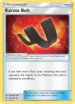 Karate Belt card from Unified Minds, number 201/236