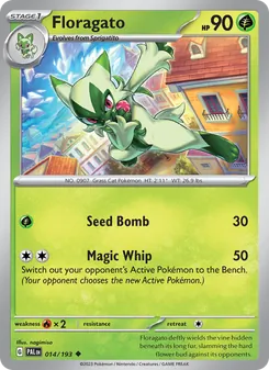Floragato card from Paldea Evolved, number 014/193