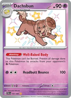 Dachsbun card from Paldean Fates, number 161/91