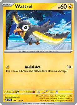 Wattrel card from Surging Sparks, number 066/191