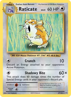 Raticate card from Evolutions, number 67/108