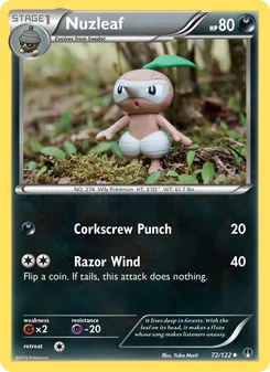 Nuzleaf card from BREAKpoint, number 72/122