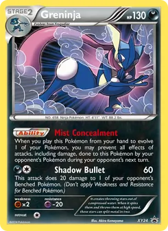 Greninja card from XY Black Star Promos, number XY24/211