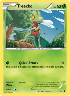 Treecko card from XY Black Star Promos, number XY36/211