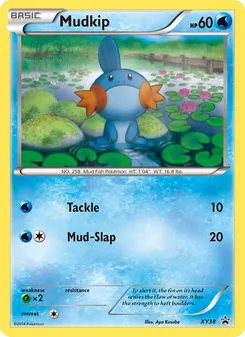 Mudkip card from XY Black Star Promos, number XY38/211