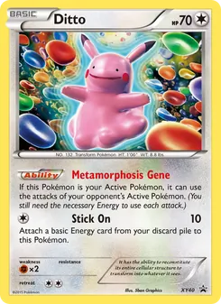 Ditto card from XY Black Star Promos, number XY40/211