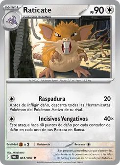 Carta Raticate de la expansión Equilibrio Perfecto, número 061/88